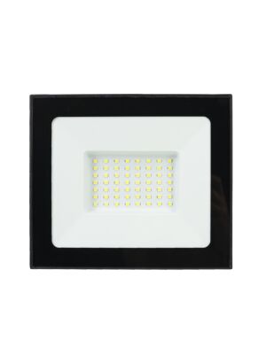 Reflector LED 50W PNI